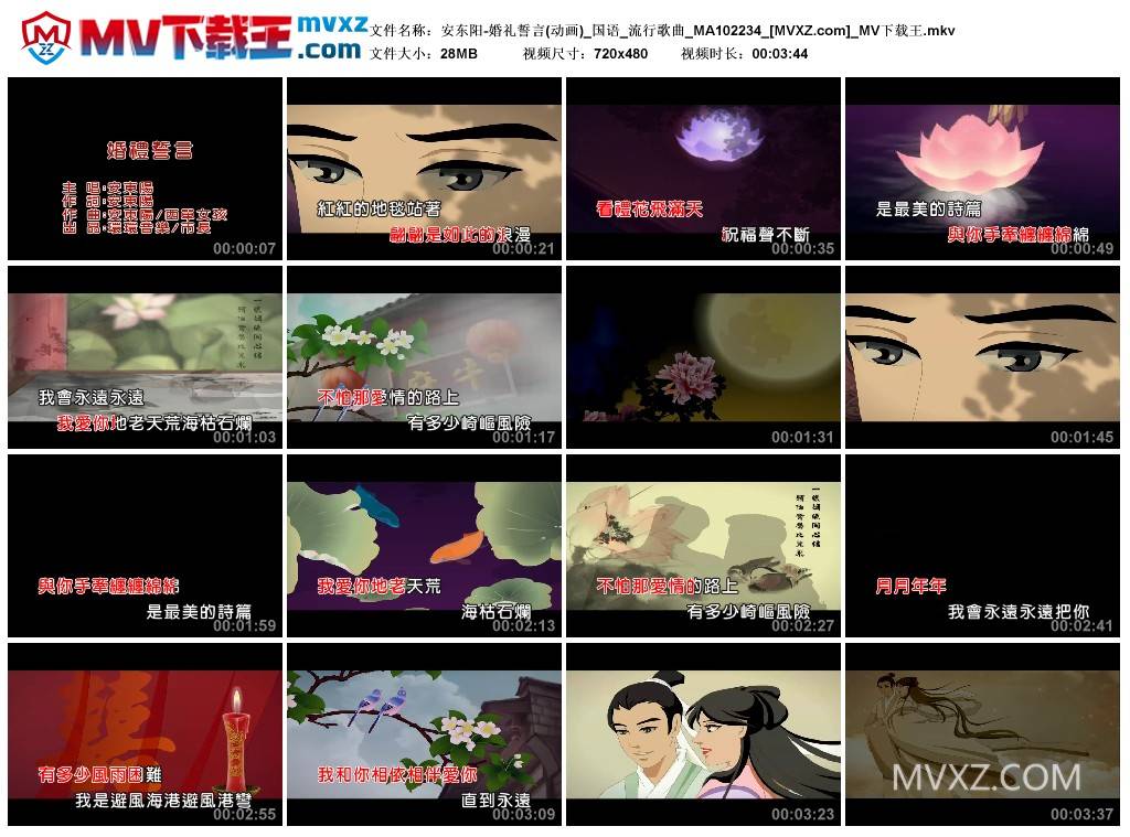 安东阳-婚礼誓言(动画)_国语_流行歌曲_MA102234